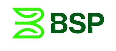 BSP