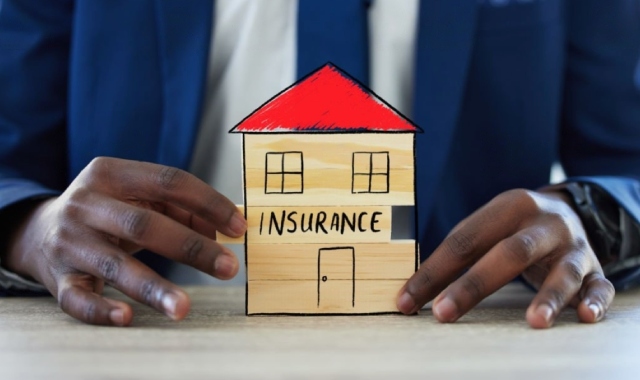 https://www.hausples.com.pg/static/img/insurance/insurance-2.jpg
